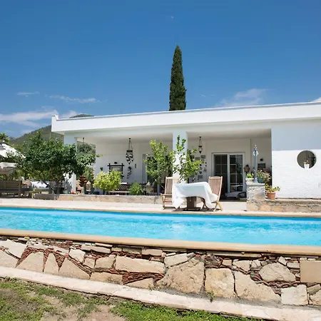 Important Group Daisy Willa